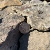 Arkansas Fieldstone